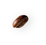 demo-attachment-35-coffee-beans-P4MXYZD-1